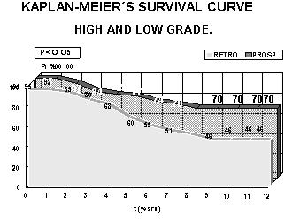 Imagen de Image cytometry in breast cancer, 1993-2003.