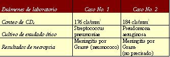 Imagen de Meningitis Bacteriana Pigena en dos mujeres infectadas por VIH: Reporte de dos casos y revisn