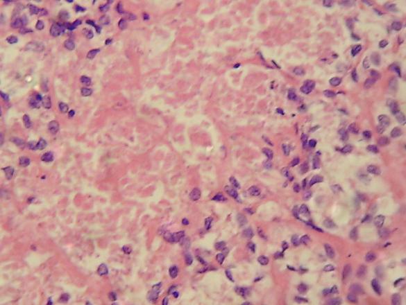 MICROSCOPIA 6 - <div style=