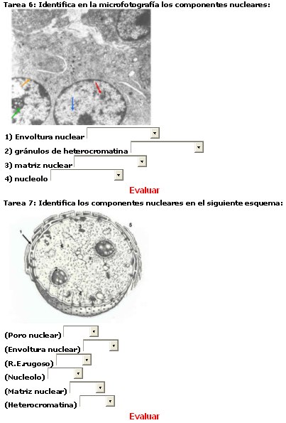 Fig. 3 - <div style=