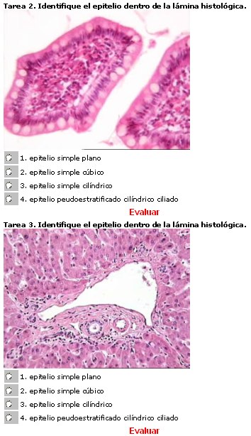 Fig. 4 - <div style=