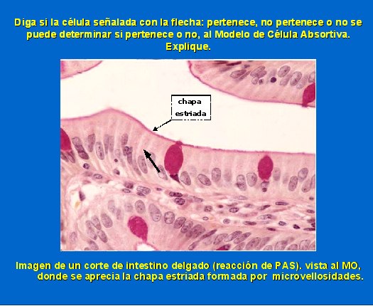 Fig9B - <div style=