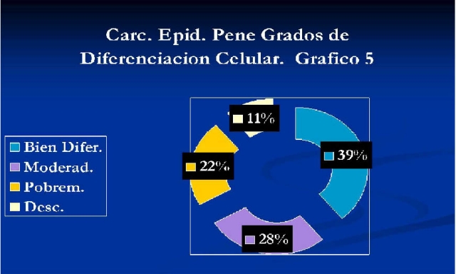 Grfico 5 - <div style=