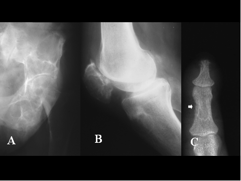 Fig-24 - <div style=