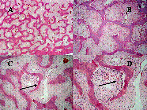 Fig-42 - <div style=