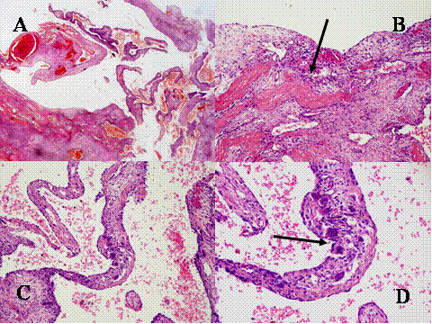 Fig-50 - <div style=