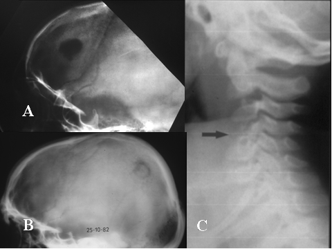 Fig-57 - <div style=