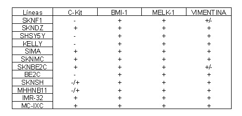 Tabla 1 - <div style=