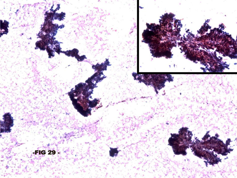 fig. 29 - <div style=