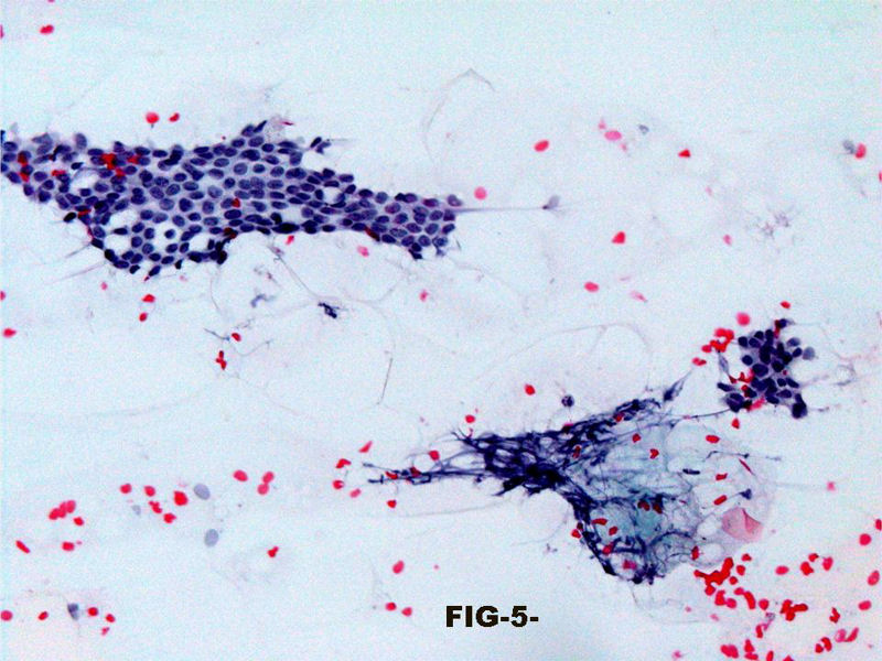 fig. 5 - <div style=