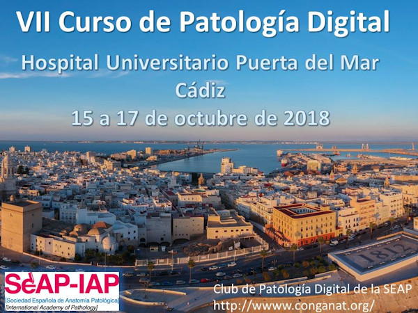 VI Curso de Patología Dogital. Cádiz. 15-17 de octubre de 2018