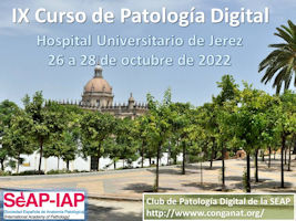 IX Curso de Patología Digital - Presentación