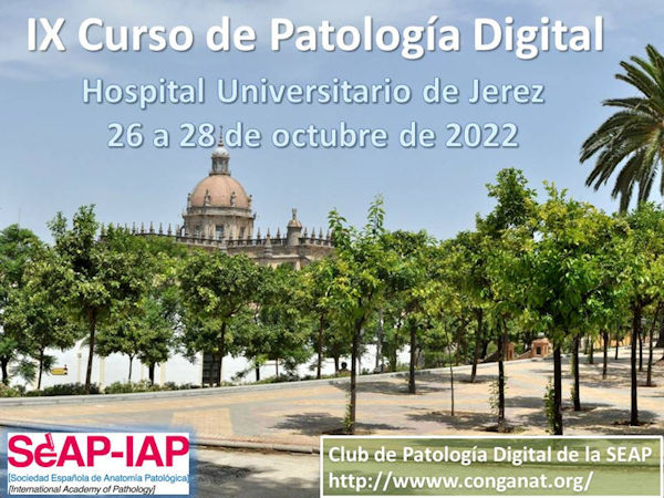 IX Curso de Patología Digital. Jerez de la Frontera. 26-28 de octubre de 2022