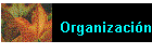 Organizacin