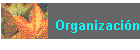 Organizacin